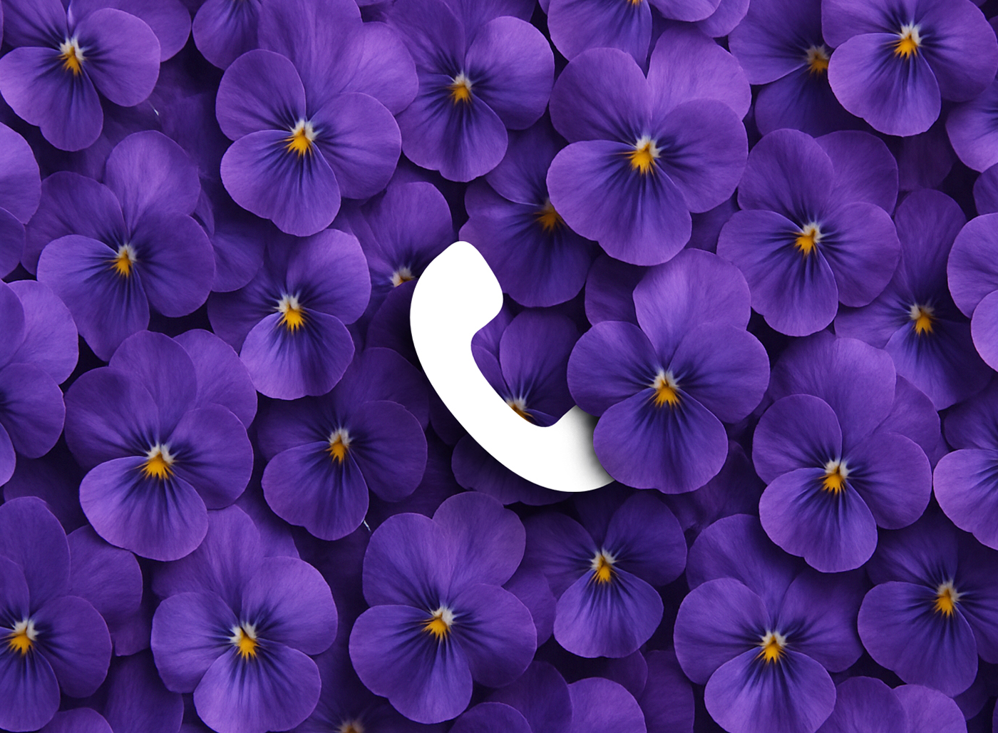 Banafsheh Taherian Contact Us Background