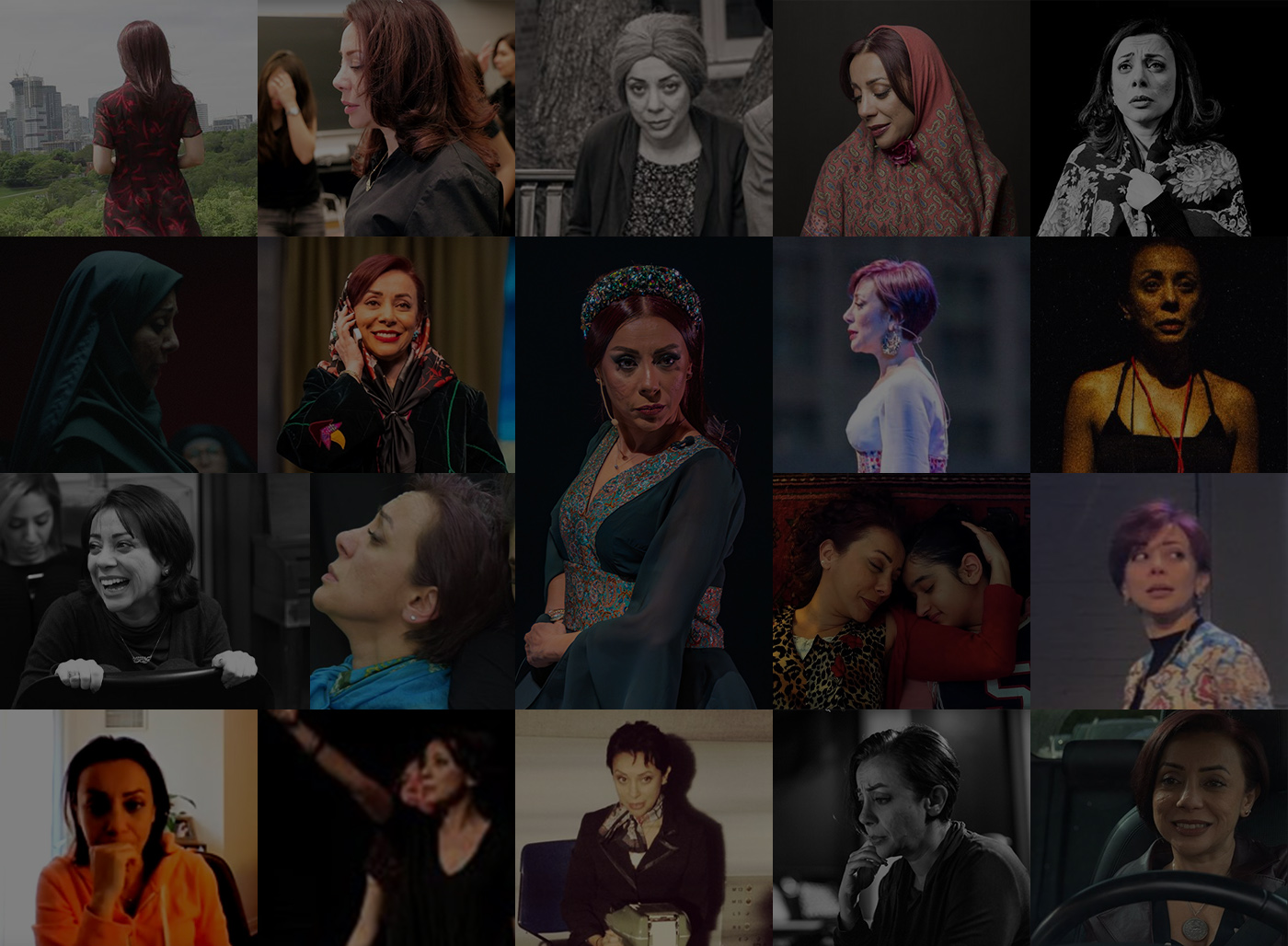 Banafsheh Taherian EMCEE Background